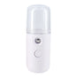 Mini Facial Steamer  Facial Sprayer 30ML